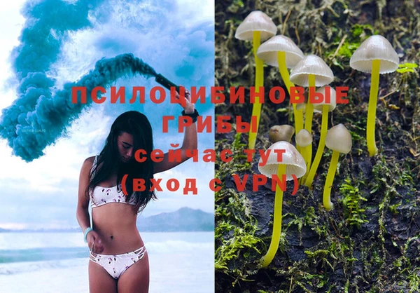 дмт Армянск