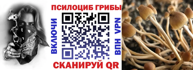 Псилоцибиновые грибы Magic Shrooms  сайты даркнета Telegram  Аша 